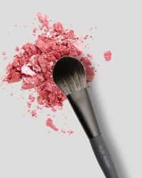 Blusher Brush 107-03638
